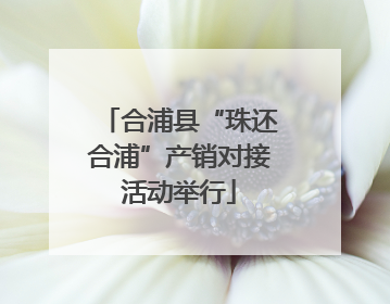 合浦县“珠还合浦”产销对接活动举行