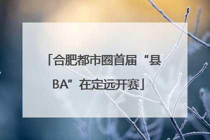 合肥都市圈首届“县BA”在定远开赛