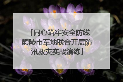 同心筑牢安全防线 醴陵市军地联合开展防汛救灾实战演练