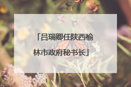 吕瑞卿任陕西榆林市政府秘书长