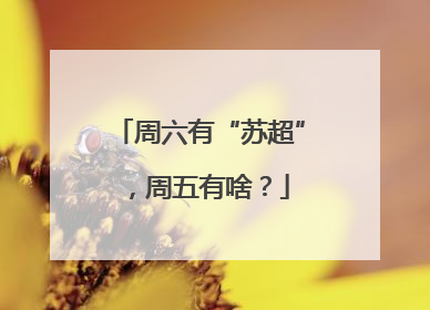 周六有“苏超”，周五有啥？