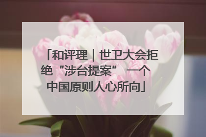 和评理｜世卫大会拒绝“涉台提案” 一个中国原则人心所向