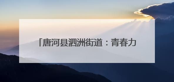 唐河县泗洲街道：青春力量筑牢防汛“安全堤”