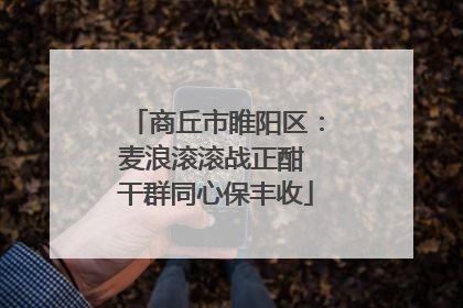 商丘市睢阳区：麦浪滚滚战正酣 干群同心保丰收