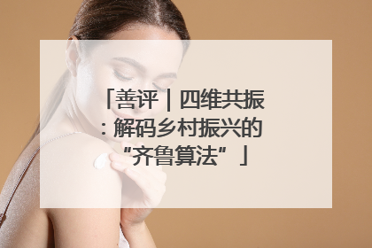 善评｜四维共振：解码乡村振兴的“齐鲁算法”