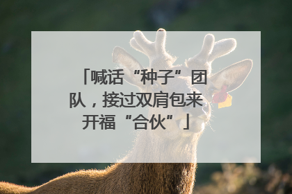 喊话“种子”团队，接过双肩包来开福“合伙”