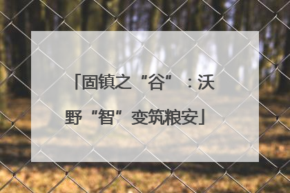 固镇之“谷”：沃野“智”变筑粮安