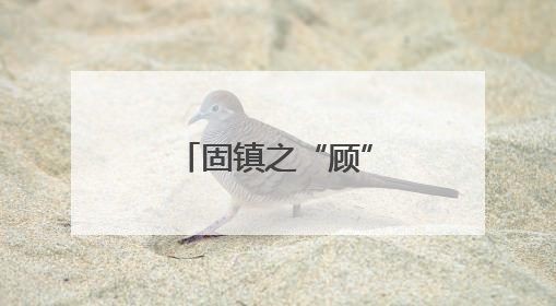 固镇之“顾”：“最好的房子是学校”