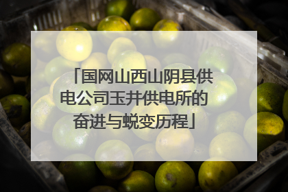 国网山西山阴县供电公司玉井供电所的奋进与蜕变历程