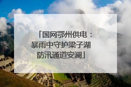 国网鄂州供电：暴雨中守护梁子湖防汛通道安澜