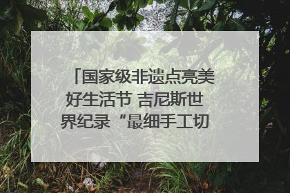 国家级非遗点亮美好生活节 吉尼斯世界纪录“最细手工切面”邀您来品！｜美好生活有“盐”味