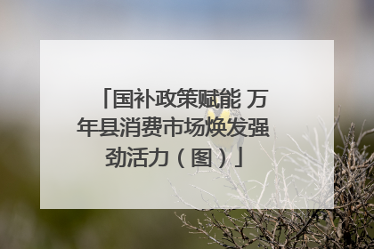 国补政策赋能 万年县消费市场焕发强劲活力（图）
