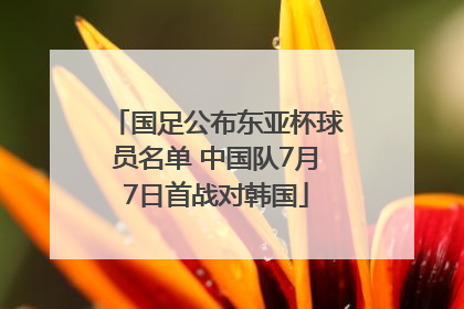 国足公布东亚杯球员名单 中国队7月7日首战对韩国