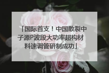 国际首支！中国散裂中子源P波段大功率超构材料速调管研制成功