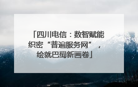 四川电信：数智赋能织密“普遍服务网”，绘就巴蜀新画卷