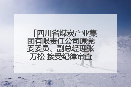 四川省煤炭产业集团有限责任公司原党委委员、副总经理张万松 接受纪律审查和监察调查