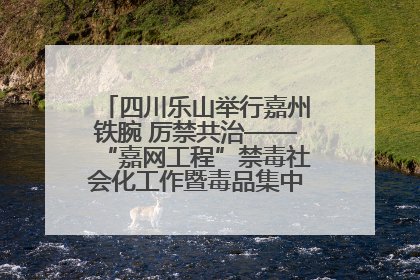 四川乐山举行嘉州铁腕 厉禁共治——“嘉网工程”禁毒社会化工作暨毒品集中销毁启动仪式