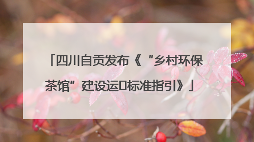 四川自贡发布《“乡村环保茶馆”建设运⾏标准指引》