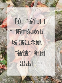 在“家门口”拓中东欧市场 浙江余姚“智造”组团出击