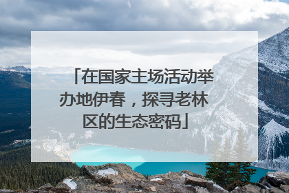 在国家主场活动举办地伊春，探寻老林区的生态密码