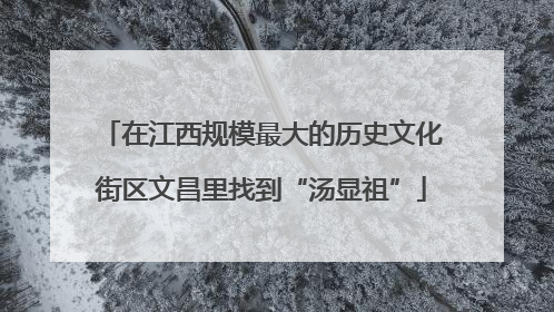 在江西规模最大的历史文化街区文昌里找到“汤显祖”