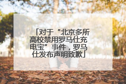 对于“北京多所高校禁用罗马仕充电宝”事件，罗马仕发布声明致歉