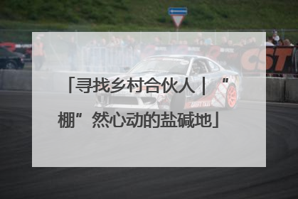 寻找乡村合伙人｜“棚”然心动的盐碱地