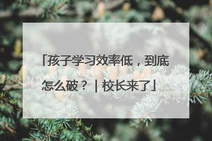 孩子学习效率低，到底怎么破？｜校长来了