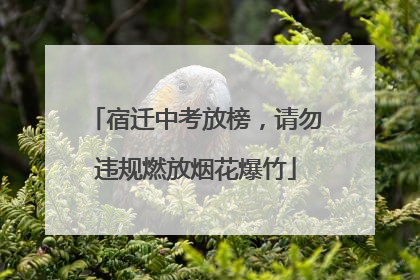 宿迁中考放榜，请勿违规燃放烟花爆竹