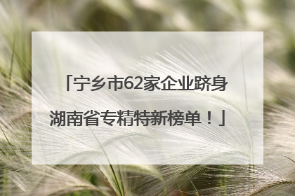 宁乡市62家企业跻身湖南省专精特新榜单！