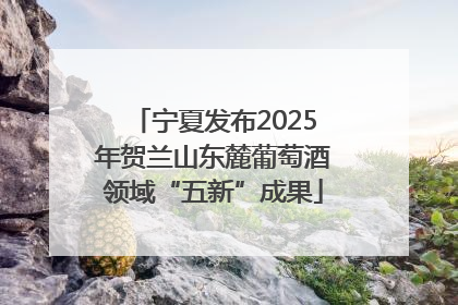 宁夏发布2025年贺兰山东麓葡萄酒领域“五新”成果
