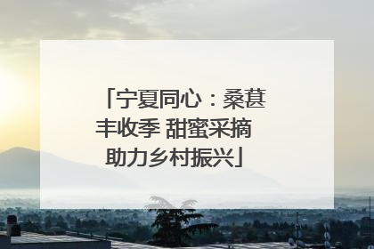 宁夏同心：桑葚丰收季 甜蜜采摘助力乡村振兴