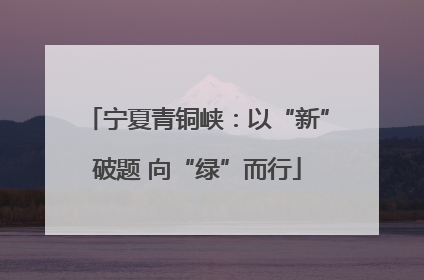 宁夏青铜峡：以“新”破题 向“绿”而行