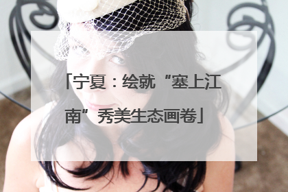 宁夏：绘就“塞上江南”秀美生态画卷