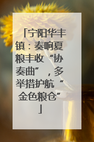 宁阳华丰镇：奏响夏粮丰收“协奏曲”，多举措护航“金色粮仓”