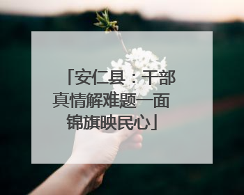 安仁县：干部真情解难题一面锦旗映民心