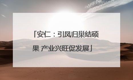 安仁：引凤归巢结硕果 产业兴旺促发展