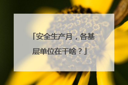 安全生产月，各基层单位在干啥？