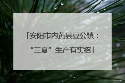 安阳市内黄县豆公镇：“三夏”生产有实招