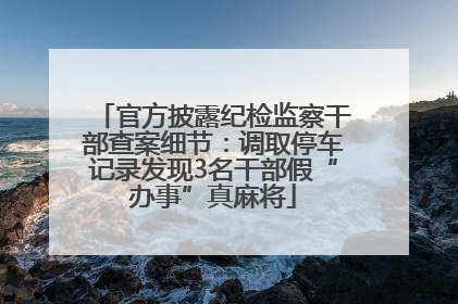 官方披露纪检监察干部查案细节：调取停车记录发现3名干部假“办事”真麻将