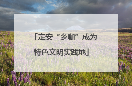 定安“乡咖”成为特色文明实践地