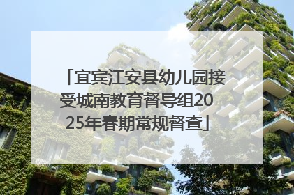 宜宾江安县幼儿园接受城南教育督导组2025年春期常规督查