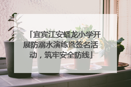 宜宾江安蟠龙小学开展防溺水演练暨签名活动，筑牢安全防线