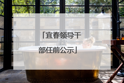宜春领导干部任前公示