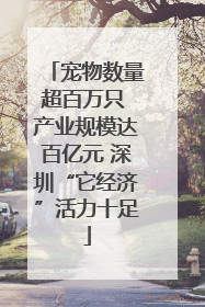 宠物数量超百万只 产业规模达百亿元 深圳“它经济”活力十足