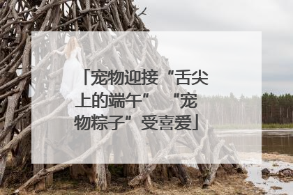 宠物迎接“舌尖上的端午” “宠物粽子”受喜爱