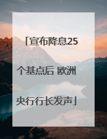 宣布降息25个基点后 欧洲央行行长发声