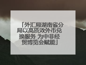 外汇局湖南省分局以高质效外币兑换服务 为中非经贸博览会赋能