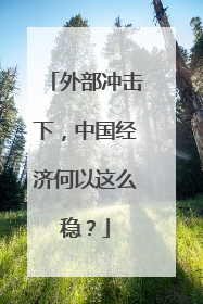 外部冲击下，中国经济何以这么稳？