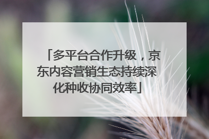 多平台合作升级，京东内容营销生态持续深化种收协同效率